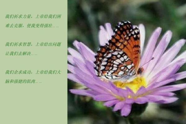 揭秘五鬼命格:命运背后的神秘力量与人生启示 揭秘五鬼命格:命运背后的神秘力量与人生启示