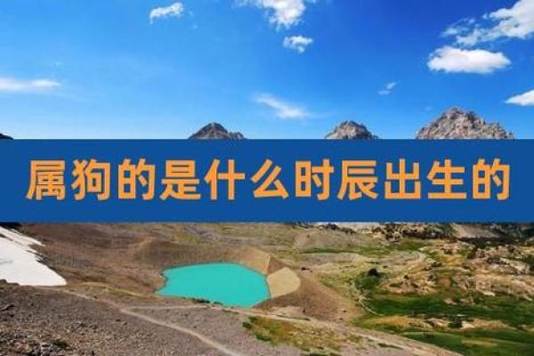 属虎男孩戌出生的命运解析与人生启示