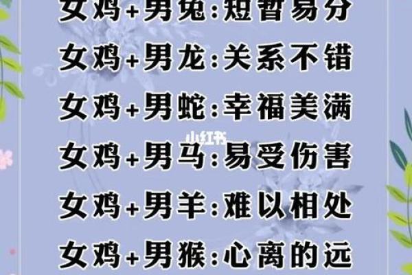 属狗与属牛的进食时辰,如何影响命运与健康? 属狗与属牛的进食时辰,如何影响命运与健康?