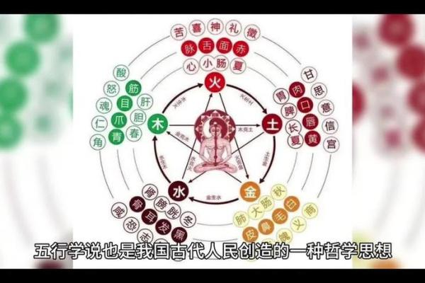 属猴人五行命理解析:探索猴年的奥秘与人生智慧 属猴人五行命理解析:探索猴年的奥秘与人生智慧