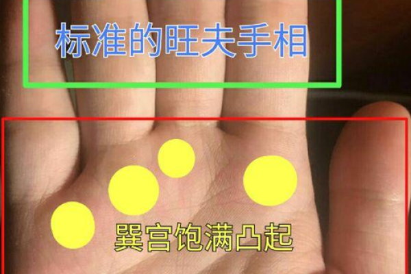 命理探秘:探讨手相中6-8个斗的命运奥秘 命理探秘:探讨手相中6-8个斗的命运奥秘