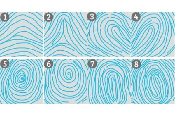 手指上角的秘密:命运与人生的深刻联系 手指上角的秘密:命运与人生的深刻联系