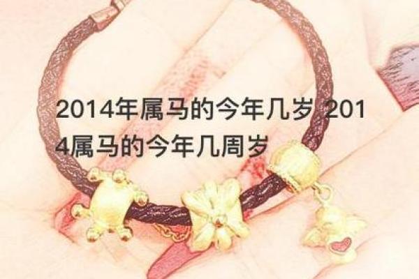 属马人士的40岁命运解析:如何迎接人生的辉煌转折? 属马人士的40岁命运解析:如何迎接人生的辉煌转折?