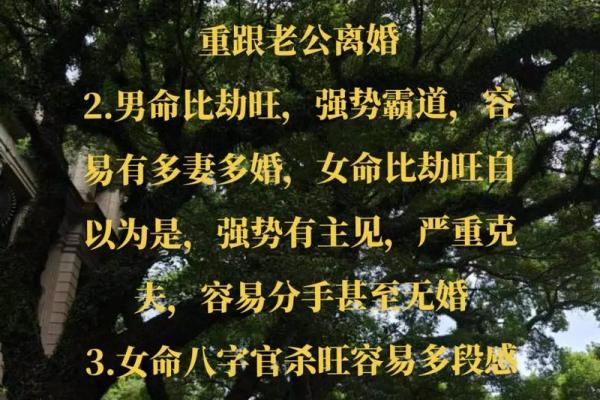 揭秘八字之中,三婚命的最佳选择与详解 揭秘八字之中,三婚命的最佳选择与详解