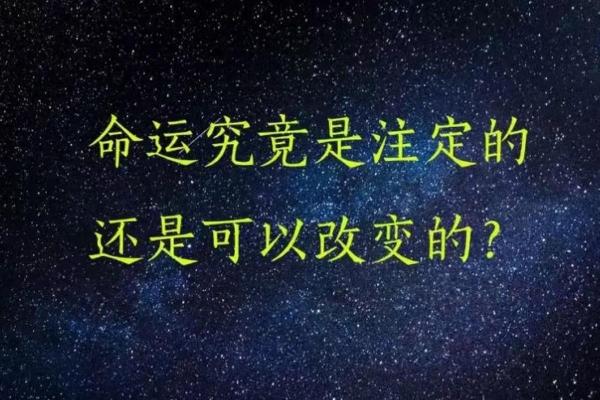 什么样的人注定拥有十个孩子的命?探访多子多福的背后故事 什么样的人注定拥有十个孩子的命?探访多子多福的背后故事