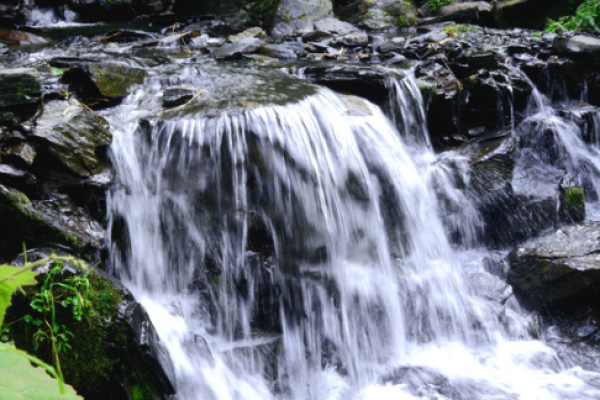 身弱水命与土多命格的和谐之道 身弱水命与土多命格的和谐之道