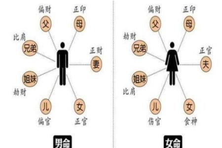 什么八字的男命能娶到漂亮妻子？解密命理中的美丽缘分！