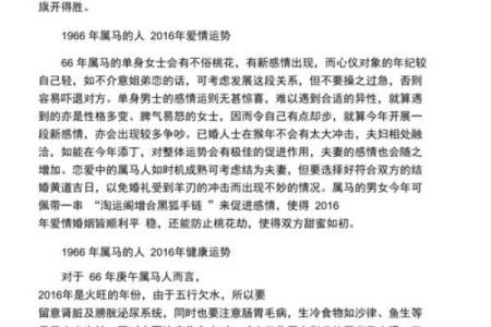 属马人的饮食秘密：如何通过饮食提升运势与健康
