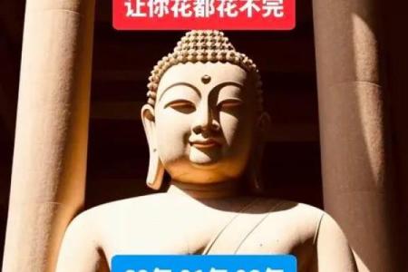 生肖鸡为何注定没有幸福的命运？深度解析背后的原因