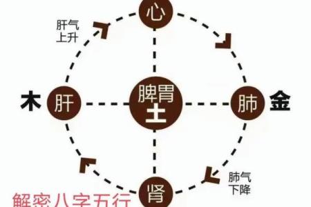 年份和命运：探秘八字与五行的奥秘