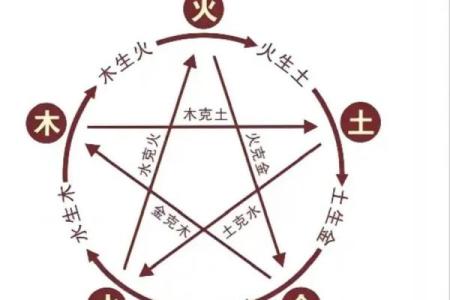 属猴人五行命理解析：探索猴年的奥秘与人生智慧