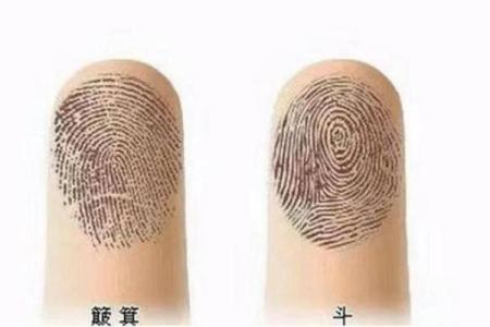 手指上角的秘密：命运与人生的深刻联系