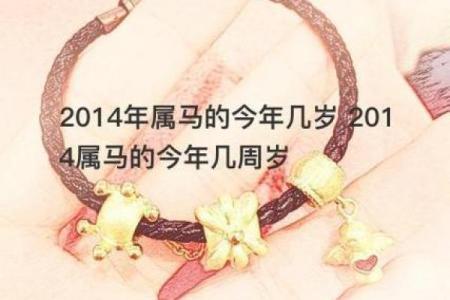 属马人士的40岁命运解析：如何迎接人生的辉煌转折？