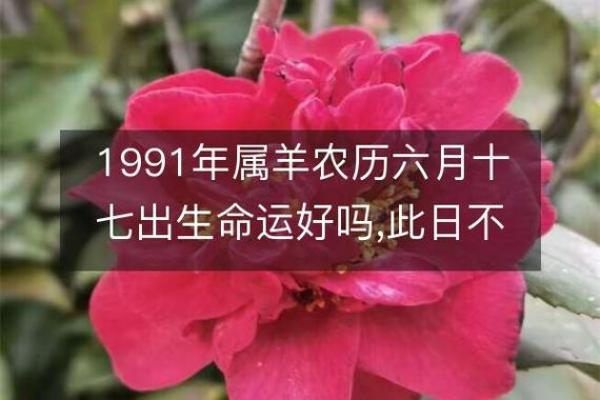 属羊1996年:命运、性格与发展之路探索 属羊1996年:命运、性格与发展之路探索