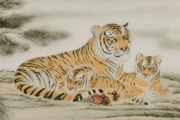 属虎的三月五行命理解析：探寻虎人的命运轨迹与性格特征