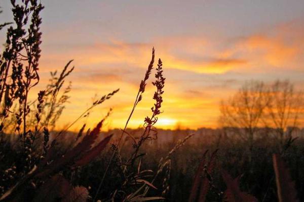 七月初二出生的人五行解析：阳光下的命运之旅