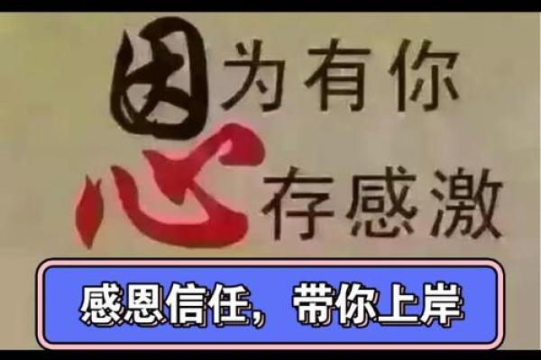 属鸡女人的命运解析:智慧与坚韧的结合 属鸡女人的命运解析:智慧与坚韧的结合