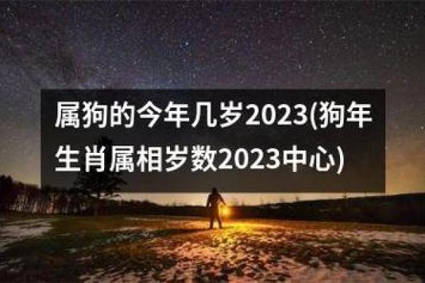 属狗人的恐惧与命运:揭开狗年人的内心世界和最怕的命! 属狗人的恐惧与命运:揭开狗年人的内心世界和最怕的命!