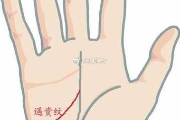 揭秘手掌纹路:哪些纹路预示着不顺与命运低谷? 揭秘手掌纹路:哪些纹路预示着不顺与命运低谷?