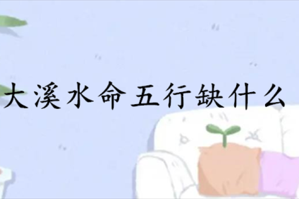 解析水命的奥秘：为什么水命被认为是最好的命？