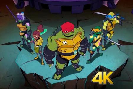 《忍者神龟3：小黑的命运与冒险》