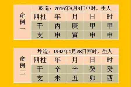 什么是阳命人和阴命人？探索命理背后的神秘智慧