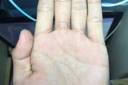 属老鼠的女性：命格解析与生活智慧