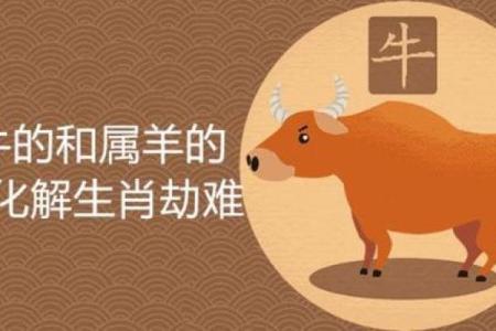 属羊鼠出洞，揭示命理奥秘，助你顺遂人生！