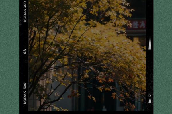 人生的三种命:选择、机遇与价值的交织 人生的三种命:选择、机遇与价值的交织