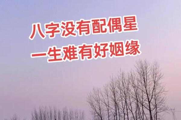 身弱正财女命的最佳配偶选择与婚姻幸福法则 身弱正财女命的最佳配偶选择与婚姻幸福法则