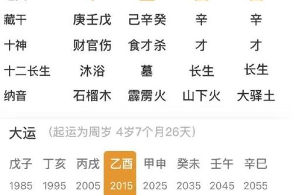壬午辛亥丙甲丁酉命理解析:探寻五行之中的人生奥秘 壬午辛亥丙甲丁酉命理解析:探寻五行之中的人生奥秘