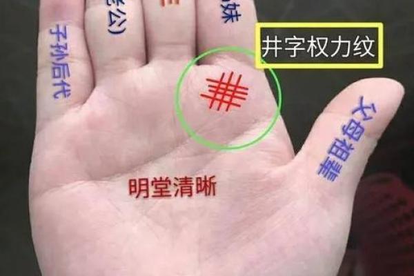 手小的女生暗示了什么命运?快来揭晓! 手小的女生暗示了什么命运?快来揭晓!