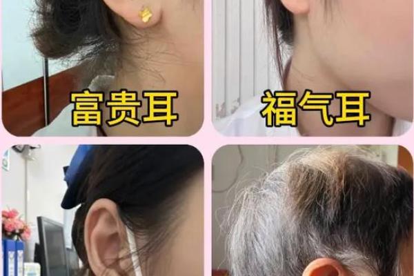 什么样的耳朵代表富贵命?揭开耳相与财富的秘密 什么样的耳朵代表富贵命?揭开耳相与财富的秘密