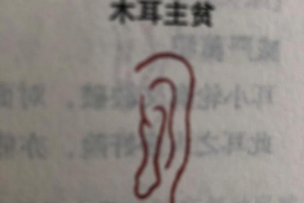 什么样的耳朵代表富贵命?揭开耳相与财富的秘密 什么样的耳朵代表富贵命?揭开耳相与财富的秘密