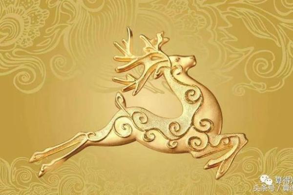 揭开秀名字的五行奥秘，共探命理与人生的奇妙联系