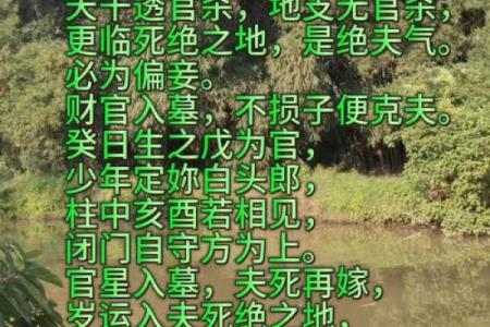 揭开女命没有正夫星的神秘面纱：婚姻与命理的深度解读