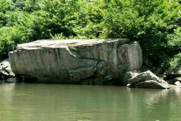 桑石木命:探秘这一神秘命理的深层含义与生活影响 桑石木命:探秘这一神秘命理的深层含义与生活影响