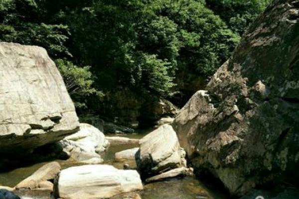 桑石木命:探秘这一神秘命理的深层含义与生活影响 桑石木命:探秘这一神秘命理的深层含义与生活影响