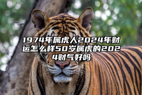 属虎人:不一样的命运与时辰,揭开命理的奥秘 属虎人:不一样的命运与时辰,揭开命理的奥秘