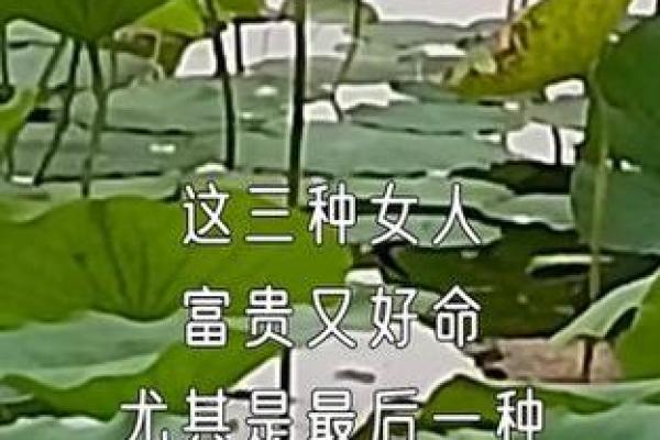 女命旺夫发福的深刻含义与生活智慧