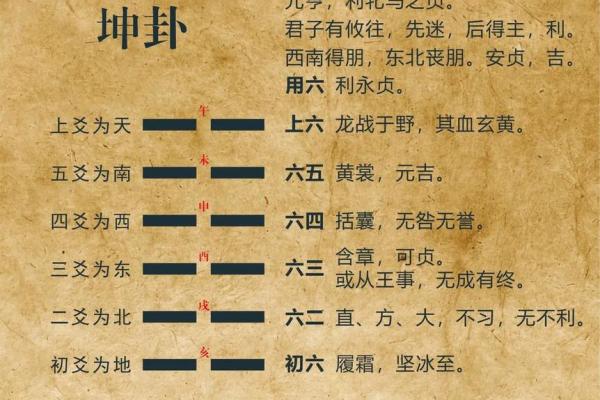 轻盈如风的命运:解读易经中的少女命与人生智慧 轻盈如风的命运:解读易经中的少女命与人生智慧