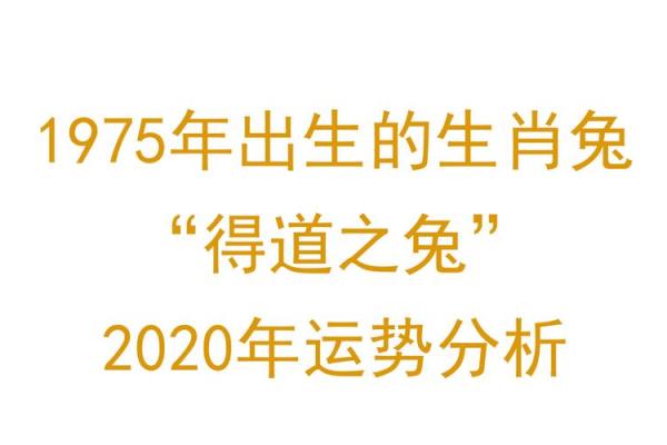 属兔白羊座的命运解析:探索它们的个性与运势 属兔白羊座的命运解析:探索它们的个性与运势