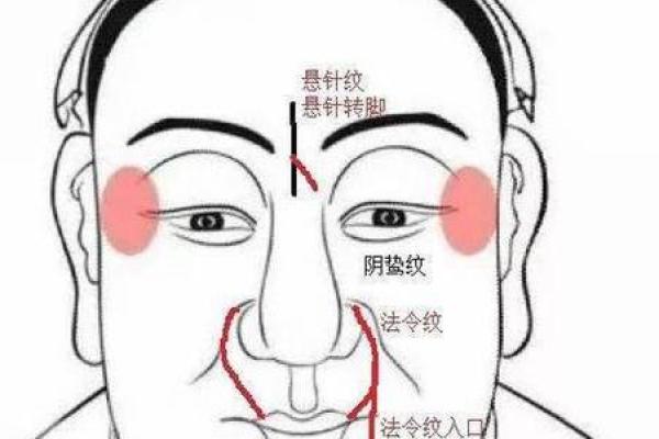 面相学解析:什么样的人面相好看且命好? 面相学解析:什么样的人面相好看且命好?