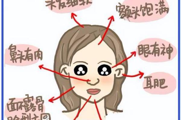 面相学解析:什么样的人面相好看且命好? 面相学解析:什么样的人面相好看且命好?