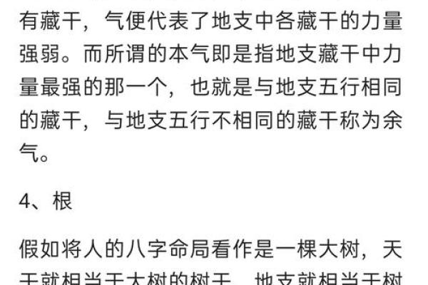 命理解析:如何根据八字匹配姻缘与命局 命理解析:如何根据八字匹配姻缘与命局