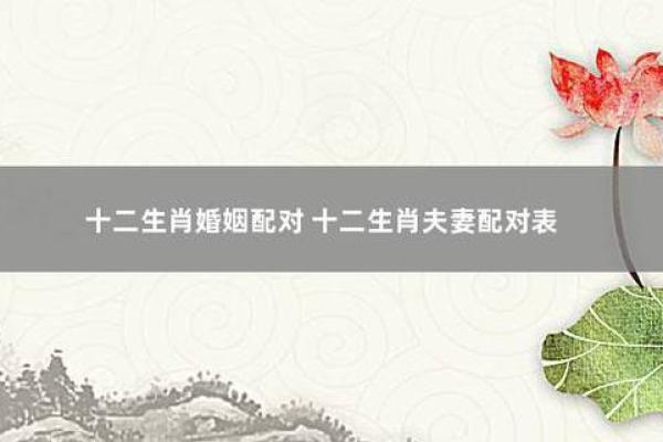 属相命理:哪些属相夫妻搭配最佳?探秘和谐婚姻的奥秘! 属相命理:哪些属相夫妻搭配最佳?探秘和谐婚姻的奥秘!