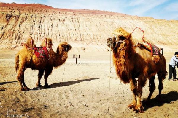 火焰闪烁的人生:如何提升命旺山头火命的运势与福气 火焰闪烁的人生:如何提升命旺山头火命的运势与福气