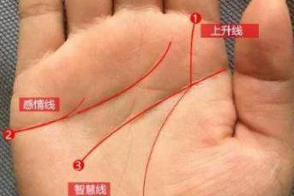 火焰闪烁的人生:如何提升命旺山头火命的运势与福气 火焰闪烁的人生:如何提升命旺山头火命的运势与福气