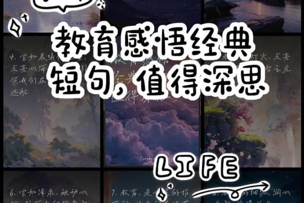 生命的奇迹:留我一条命的深思与感悟 生命的奇迹:留我一条命的深思与感悟