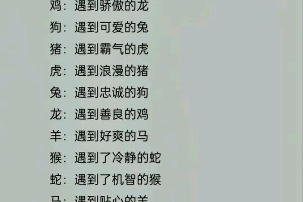 生肖狗的命运解析:忠诚与智慧的完美结合 生肖狗的命运解析:忠诚与智慧的完美结合